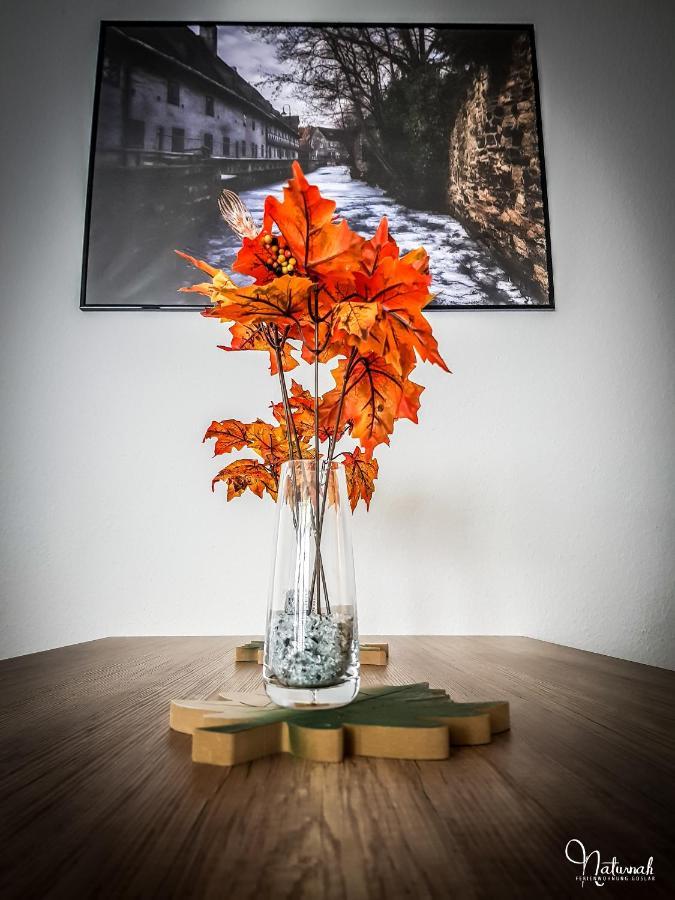 Ferienwohnung Naturnah 戈斯拉尔 外观 照片